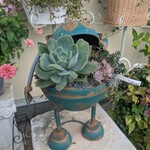 花カフェ 花音 - 