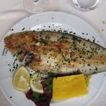 Ristorante San Trovaso - Sogliola alla griglia 