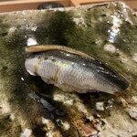 鮨桂太 - イワシ