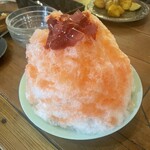 ボンベイバザー - 