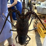 青木さざえ店 - 