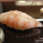 鮨みなと - 14品目、ぼたんえび。甘く最高でした。