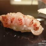 鮨みなと - 22品目、むつ。最高でした。