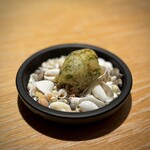 マンサルヴァ - 海葉草という、珍しい海藻のゼッポリーニ。
      この、ふわもち感と香り、間違いない美味しさ(^^)