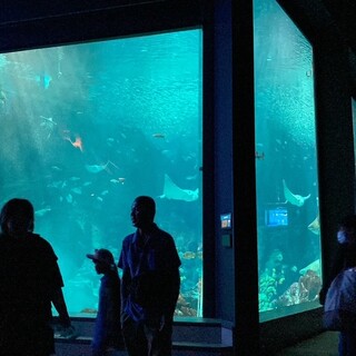 マリンワールドレストラン レイリー_0