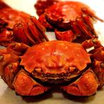 倶楽湾 - 上海蟹。