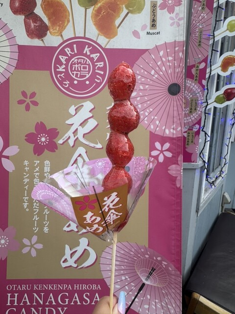 オタル ポロカラ（小樽 ポロカラ） - 小樽（ジューススタンド）の写真