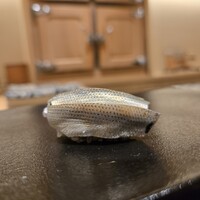 鮓 有無 - 