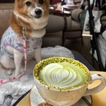 The Jones Cafe Bar - 