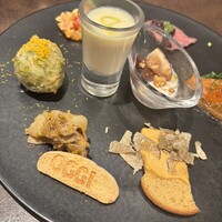 オッジ ダルマット 西麻布店 - 