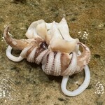 神田錦町 鮨たか晴 - 新烏賊（天草）ゲソ