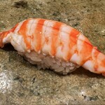 神田錦町 鮨たか晴 - 車海老（大分）