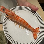 神田錦町 鮨たか晴 - Food Presentation 