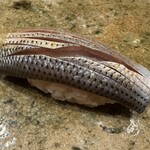 神田錦町 鮨たか晴 - 小鰭（天草）