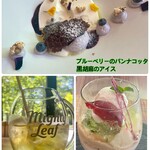 旧軽井沢KIKYOキュリオ・コレクションbyヒルトン - 