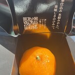 ひととせの雪 - 