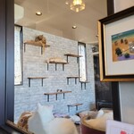 ねこカフェ she-on - カウンター席から