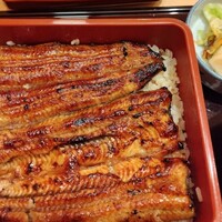 赤坂ふきぬき - 