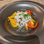 ヤマガタ0035 アル・ケッチァーノ コンチェルト - 