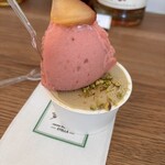 HAKONE DOLCE STUDIO STELLA - 