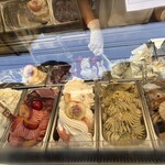 HAKONE DOLCE STUDIO STELLA - 