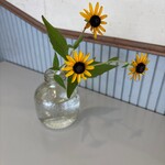 桃花水 - お花٩(^‿^)۶