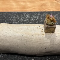 都季 - 