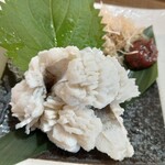 くずし寿司割烹 海月 - 