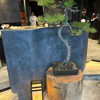鮨 飛鳥 - 