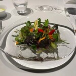 レフェルヴェソンス - 