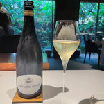 レフェルヴェソンス - 