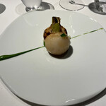 レフェルヴェソンス - 