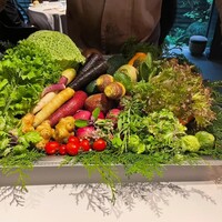 レフェルヴェソンス - 