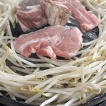 札幌 生ラム ジンギスカン らむ嘉 - 