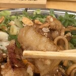 とん太 - ぷりぷりホルモン、ごろごろ