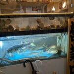 食彩炉ばた こころ - 