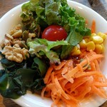 エボリューション - サラダ