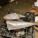 さけ富 - ハタハタ