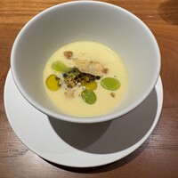 MOTORA  - 