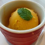 エボリューション - マンゴーシャーベット