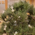 スシエビスHana - 