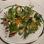 レフェルヴェソンス - 