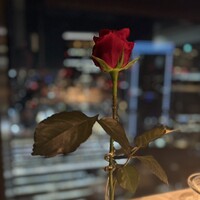 リストランテ･ヒロ チェントロ 丸ビル店 - 