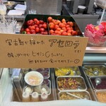 ユートピアファーム宮古島 - 