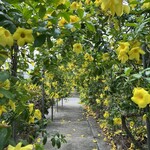 ユートピアファーム宮古島 - 