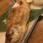 吟魚のはなれ  吟チロリ - 