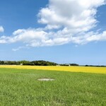 丸大ラーメン - めちゃくちゃのどか！