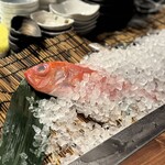 俺の炉ばた 恵比寿 - 