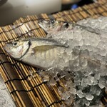 俺の炉ばた 恵比寿 - 