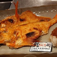 かみその - 